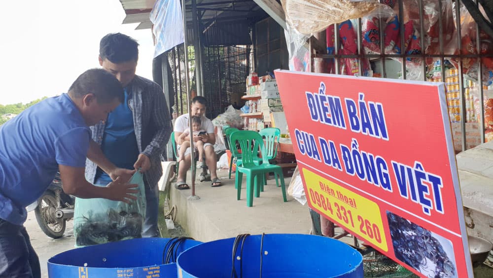 Điểm bán cua da tươi sống ở Đồng Việt, Yên Dũng